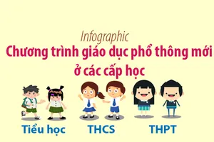 Các cấp học theo chương trình cụ thể như thế nào? 