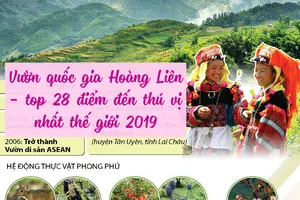 Vườn quốc gia Hoàng Liên: Top 28 nơi thú vị nhất thế giới 2019