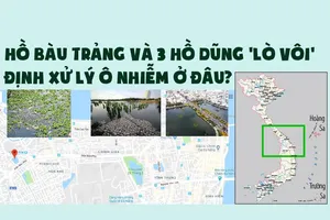 Hồ Bàu Trảng và 3 hồ Dũng 'lò vôi' định xử lý ô nhiễm ở đâu?