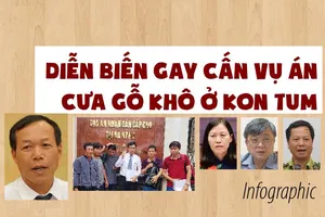 Diễn biến gay cấn vụ án cưa gỗ khô ở Kon Tum