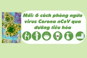 Mới: 6 cách phòng ngừa virus Corona nCoV qua đường tiêu hóa