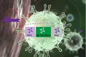 COVID-19 ở Việt Nam: Sơ đồ mối quan hệ các ca nhiễm từ 6-3