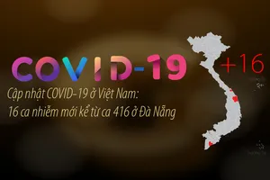 Cập nhật COVID-19: 16 ca nhiễm mới kể từ ca 416 ở Đà Nẵng