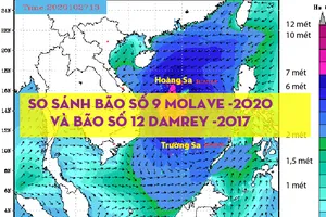 So sánh bão số 9 - Molave và bão số 12 -Damrey năm 2017