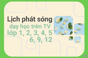 Lịch phát sóng dạy học trên TV cho học sinh lớp 1, 2, 3, 4, 5, 6, 9, 12