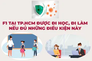 F1 tại TP.HCM được đi học, đi làm nếu đủ những điều kiện này