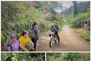 Gùi con chữ, gửi thanh xuân nơi núi rừng