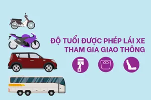 Infographic: Độ tuổi được phép lái xe tham gia giao thông 
