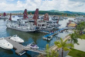 1 du khách Nhật trượt chân ở cầu cảng, tử vong 