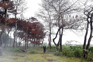 9 cán bộ biến đất rừng thành đất cá nhân