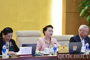 'Cháy nhiều như thế, Quốc hội không thể im ru'