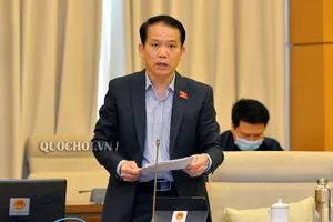 Năm 2020 chưa sửa Luật Đất đai