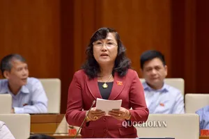 Sửa đổi Luật Đất đai: 'Chưa biết lùi đến bao giờ“