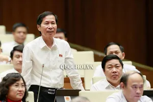 'Đại biểu Quốc hội xếp hàng gì trong hệ thống cán bộ?'