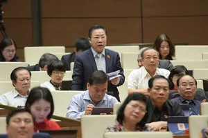 ĐB Lưu Bình Nhưỡng: 'Không có công lý giá rẻ'