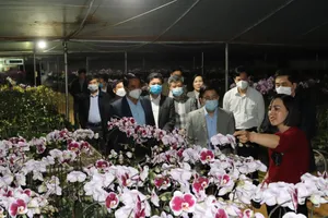 Nông nghiệp, nông dân, nông thôn có vị trí chiến lược