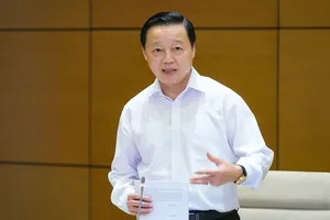 Cử tri bức xúc về tình trạng sử dụng đất công lãng phí