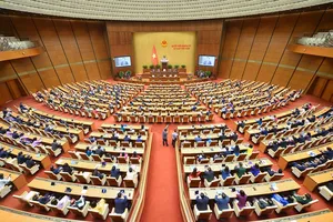 Người sử dụng đất không có giấy tờ trước 1-7-2014 có thể được cấp sổ đỏ