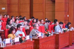 Thị trường bất động sản trầm lắng, tài sản thi hành án khó xử lý