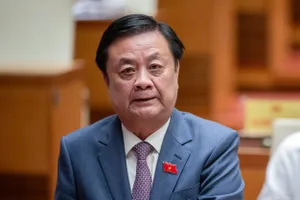 Bộ trưởng Lê Minh Hoan nhận câu trả lời 'đắng lòng' khi hỏi bà con sao chặt bỏ điều trồng sầu riêng