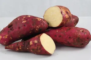 Ăn khoai lang có đốm đen, nguy cơ dính kịch độc