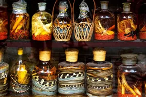 Uống nhiều rượu ngâm có chắc 'bổ'?