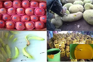 Nhúng trái cây vào hóa chất có thể bị phạt nặng
