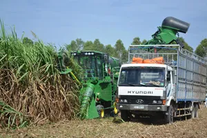 Đầu tư nghiên cứu khoa học cho nông sản