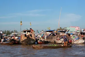 Dọc ngang miền sông nước