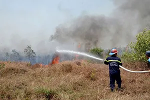 TP.HCM: Cháy rụi 5 ha rừng tràm phòng hộ 