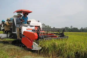 Thái Lan không thể bán tháo gạo 