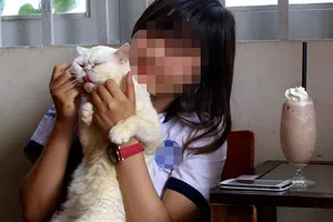 Nhiễm bệnh từ quán cà phê chó, mèo