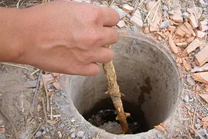 TP.HCM: Bệnh lây nhiễm tăng nhanh