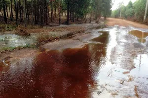 Cồn Tùng Lâm lại xả thải ra môi trường