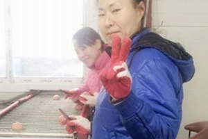 Chống lao động bỏ trốn tại Hàn Quốc