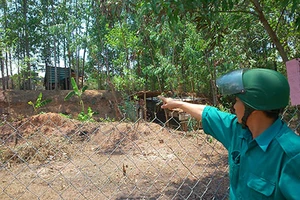 Chiếm đất, phá hoại tài sản và đánh gia chủ