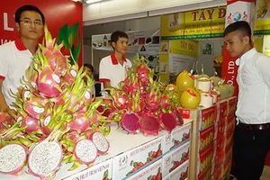 Quá ít nông sản Việt có chỉ dẫn địa lý