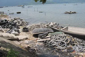 Nuôi hàu làm ô nhiễm vịnh Lăng Cô