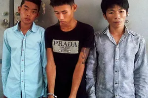 Bắt nhóm trộm bò thuê xe tải chở đi tiêu thụ 