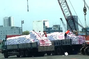 Xe quá tải: Phải xử lý từ gốc - Bài 1: Xe “khủng” vô tư rời cảng