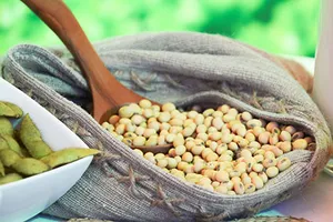 Lợi ích dinh dưỡng toàn diện từ đậu nành
