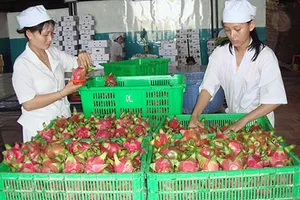 Giảm xuất khẩu sang TQ để bớt lệ thuộc