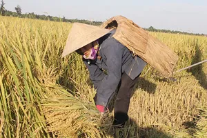 Đã có người tử vong vì nắng nóng