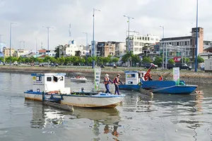 Tuần lễ sôi động với bốn sự kiện chính