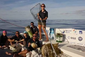 Những “đảo rác” trên đại dương