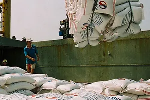 Xuất gạo giá bèo, mất hàng triệu đô 