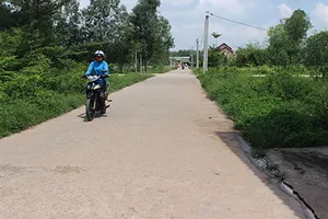 Ông Trị vá đường