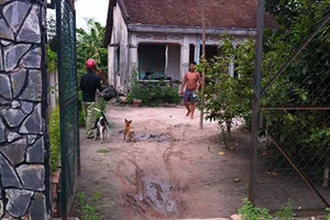 Chờ giám đốc thẩm cũng phải giao tài sản 