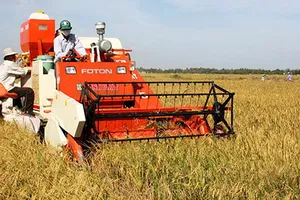 “Đại gia” gạo tìm cách thoát nợ