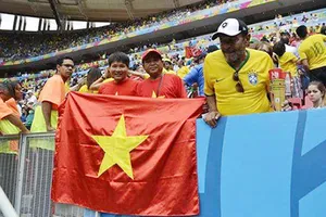 Về hình ảnh lá cờ Việt Nam trong trận Pháp - Nigeria